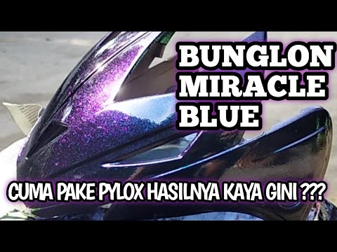 CAT BUNGLON EKONOMIS DARI SHOGUN Z