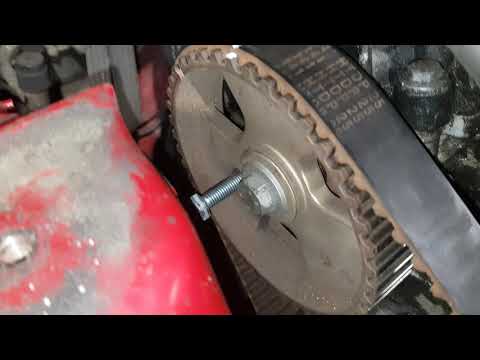 How to set timing belt in 2.0 HDI