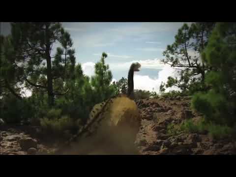 I put that one DOORS chase music on Shunosaurus running from Sinraptors