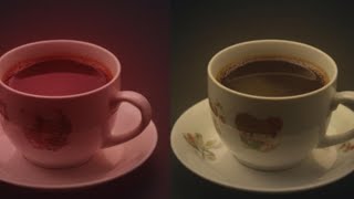 《天才在左 疯子在右》第三十九篇：双子 | 镜子里的第二个自己 | FM19.2 有声读物