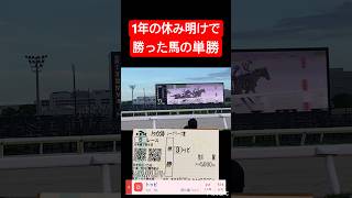 【1択】 1年の休み明けで勝った馬が叩き2戦目で負けると思いますか？