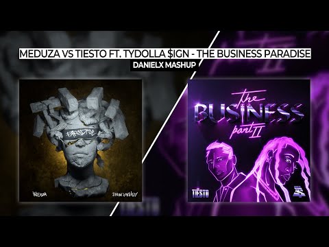 Meduza vs Tiësto ft. Ty Dolla $ign - The Business Paradise (DanielX Mashup)