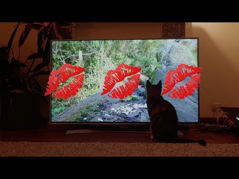 We hebben een winnaar! - LINDE VLOGT #47