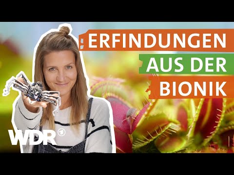Was sich die Wissenschaft von Tieren und Pflanzen abguckt | neuneinhalb | WDR
