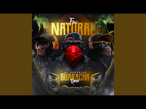 FLOW NATURAL GUARACHA (Remix)