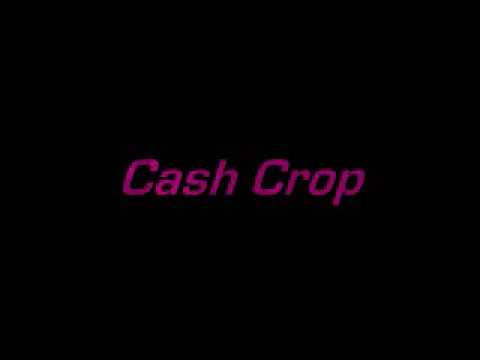 Cash Crop- alcoholic