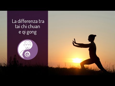 The difference between TAI CHI CHUAN and QIGONG