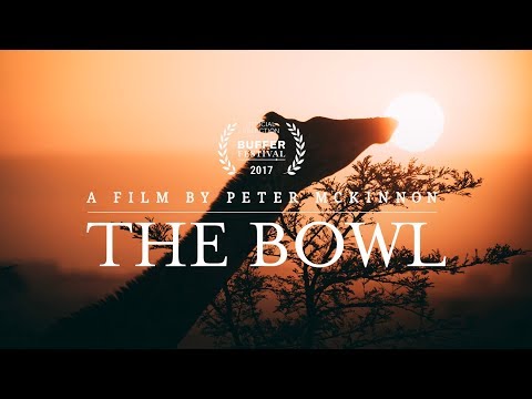The Bowl