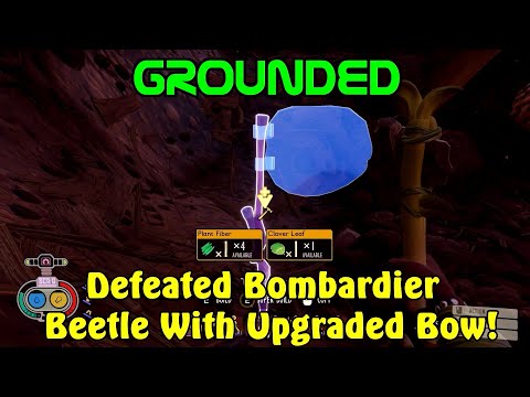 Defeated Bombardier Beetle With Upgraded Bow! Grounded 1.0 Gameplay Ep-7