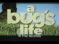 Bug S Life In 5 Seconds