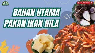 Download lagu BAHAN UTAMA UNTUK PAKAN IKAN NILA mp3