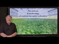 Class Announcement: The Science and Technology of Medical Cannabis Cultivation Fall 2022 Edition