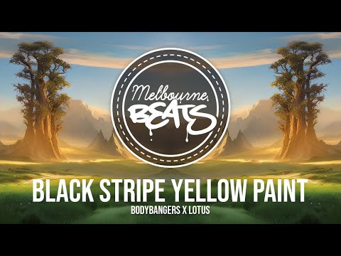 Bodybangers x Lotus - Black Stripe Yellow Paint