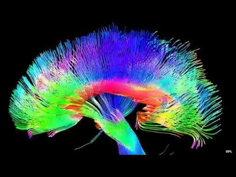 Skip x Defect - Epifiza