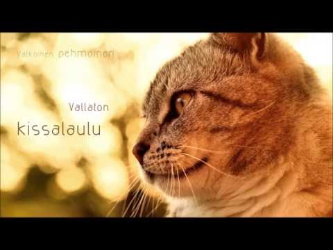 Cuulas - Vallaton kissalaulu (Rallipätkä cd:llä)