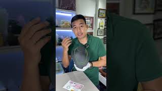 Chuỗi Cổ Ngọc Bích Tự Nhiên Loại A+ Xanh Lý 6ly – Vẻ Đẹp Thanh Khiết, Năng Lượng An Lành