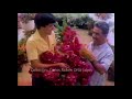 Palo Viejo-Retro comercial Ron-Licor (Puerto Rico)