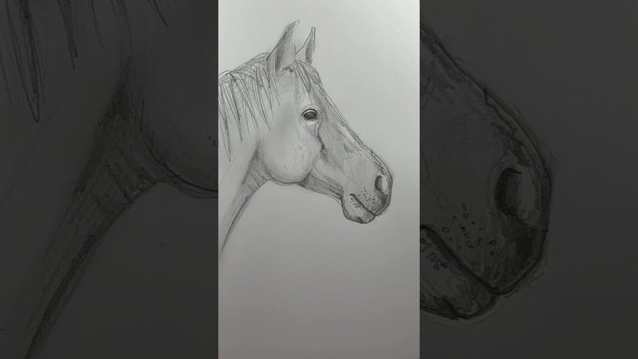 Drawing a horse 🐴 is easier than you think 🧐