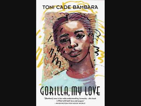 The Lesson Toni Cade Bambara Audiobook