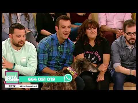 Talat y Marina buscan familia