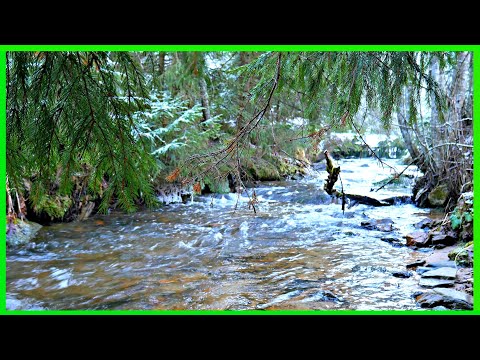 Relaxing River Sounds Gentle River Nature Ambience  Water Relaxation 3h SUNET APA CURGATOARE PT SOMN