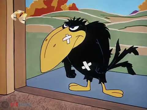 PICA PAU - ALO JUBILEU