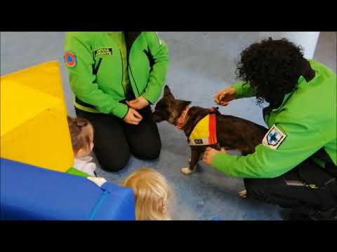 Istituto Comprensivo di Revello, giornata della sicurezza