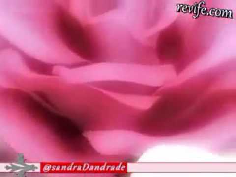download lagu mp3 mp4 Pornum, download lagu Pornum gratis, unduh video klip Pornum