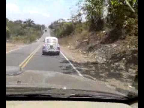 FUSCA,BRUNO,CHAPADINHA