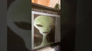 Download lagu zeb zeb zeb mp3