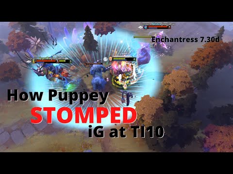 How Puppey makes Enchantress look broken | TI10 Secret vs iG