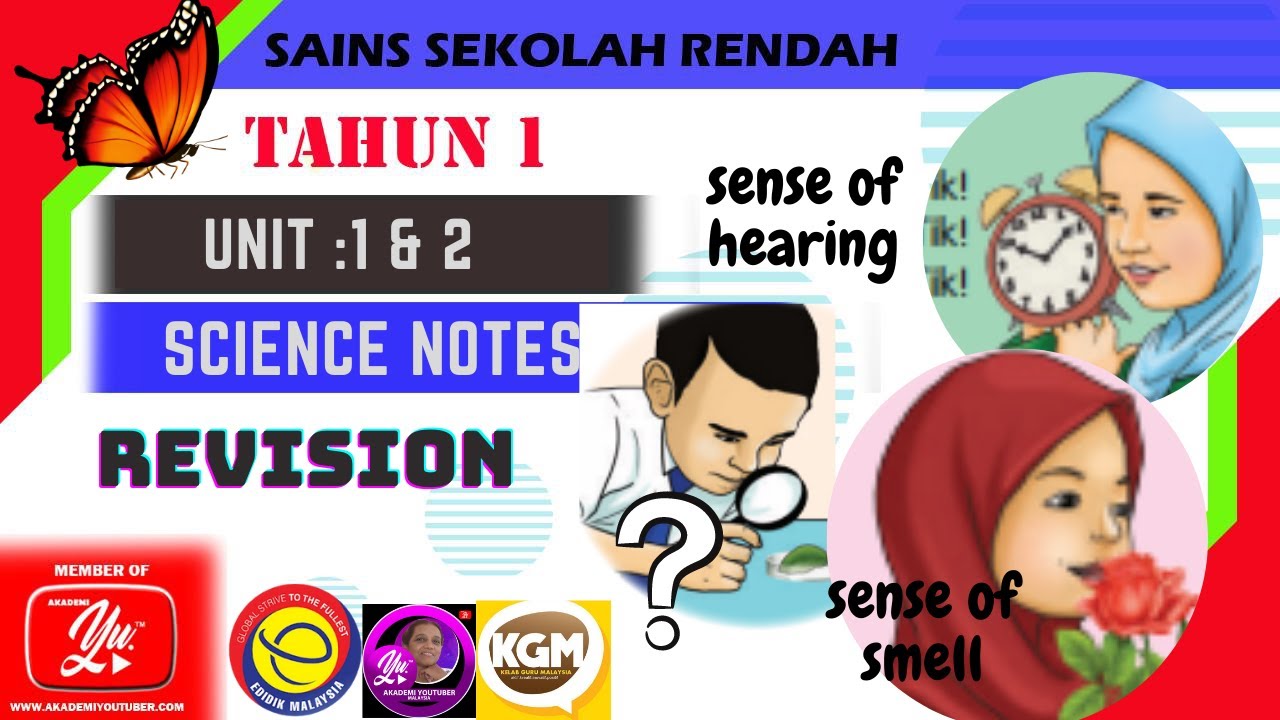 Science Notes- YEAR 1 REVISION