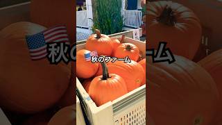 🇺🇸秋のファームへ買い物に行きました🎃紅葉が綺麗な季節🍂#アメリカ生活 #アメリカ子育て #ファーム #ハロウィン