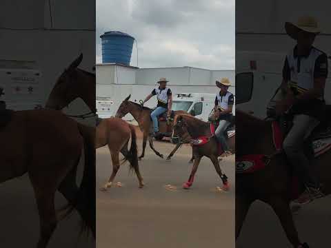 cavalgada de Formosa da Serra Negra