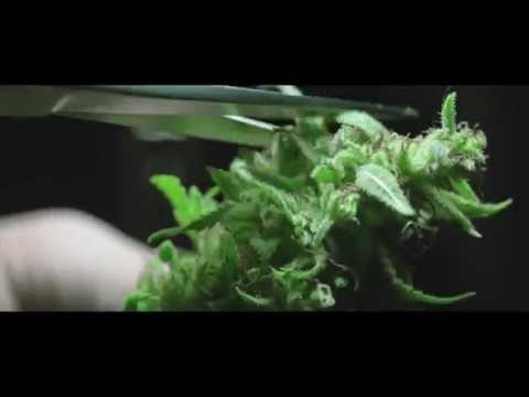 ABDUL x WOJAK // ABW - Trudno feat. Tomasin, Leh