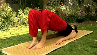 Yoga with Ira Trivedi - Yoga to Quit Alcohol - Download this Video in MP3, M4A, WEBM, MP4, 3GP
