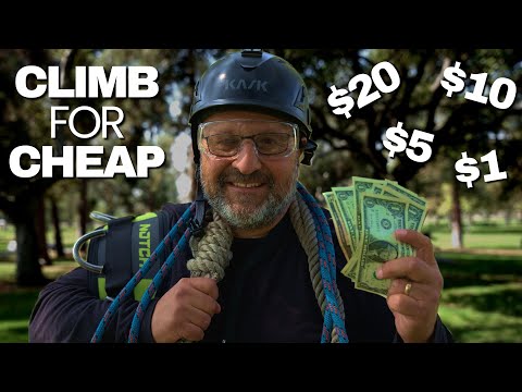Everything You Need For Tree Climbing ON A BUDGET