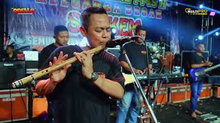 Download lagu Bagai disambar petir Sherly om adella  mp3