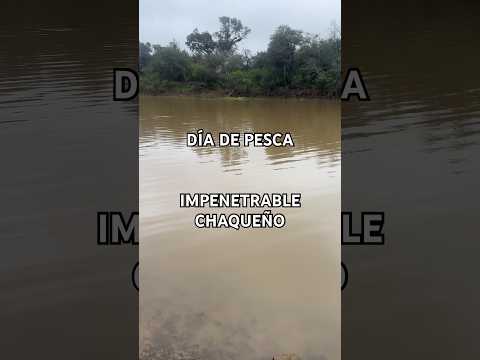 Día de Pesca en el impenetrable chaqueño