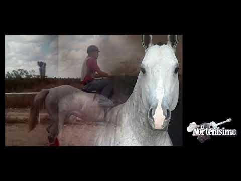 El Joyero 💎 El Norteñísimo