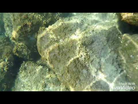 Lido blu - Arma di Taggia 🐬