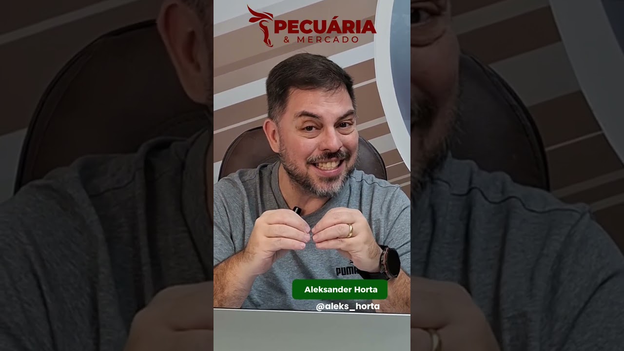 Preço da arroba do boi gordo segue resistindo #arrobadoboi #pecuária #agronegócios #gado