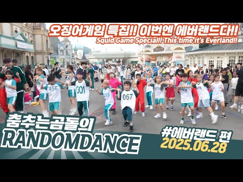 ep.213 오징어 게임3 특집 랜덤댄스 버스킹 에버랜드편 #댄스 #kpop #버스킹 #춤추는곰돌 #춤추는곰돌의랜덤댄스 #랜덤댄스