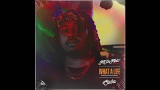 MFnMelo - &quot;What A Life&quot; feat. Saba [Prod. Monte Booker] (Official Audio)