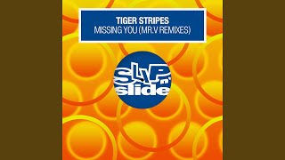 Missing You (Mr.V Sole Channel Remix)