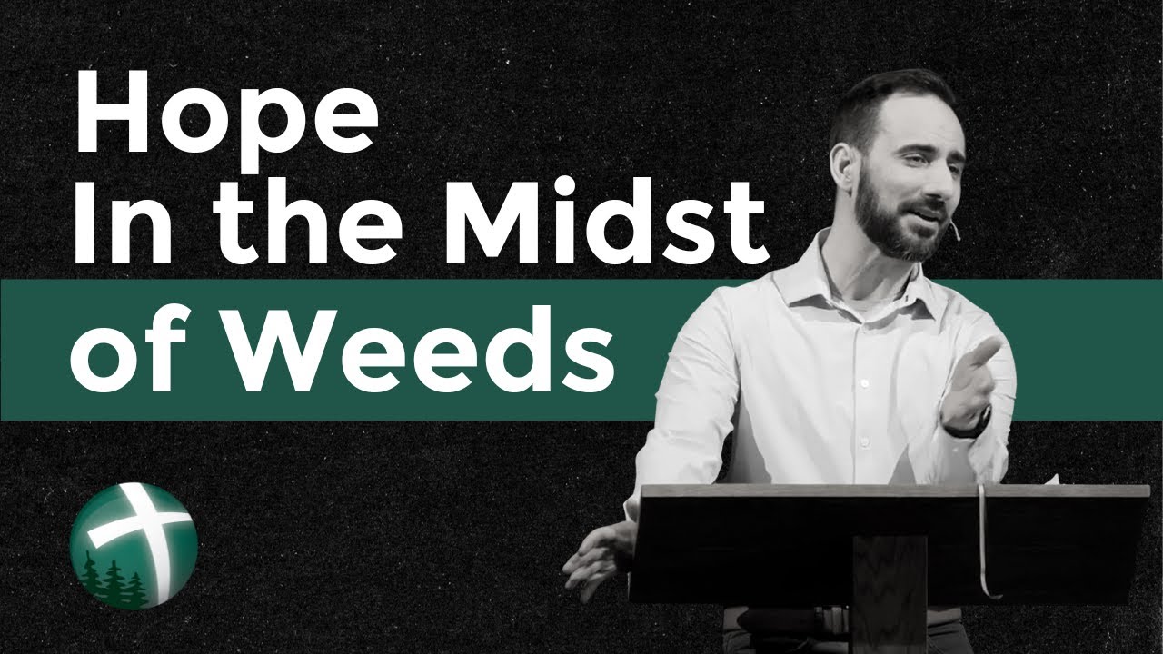 Hope in the Midst of Weeds