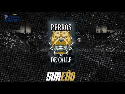 Sureño - DJ Santy | Cobe vs Efrum vs Sarca | 8vos Nacional Perros de Calle