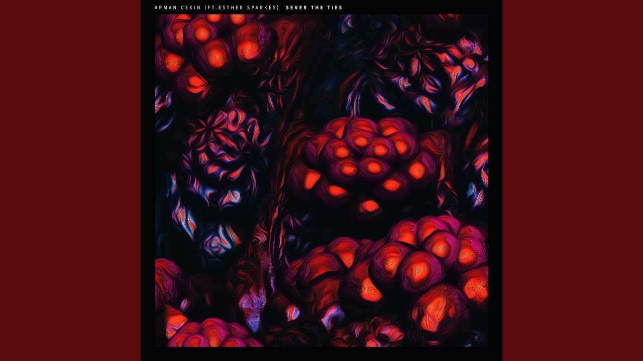 Cover for the song 'Sever the Ties' by artist(s) 'Arman Cekin, Esther Sparkes'