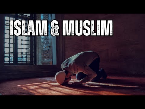 The Meaning of the word QUR AN