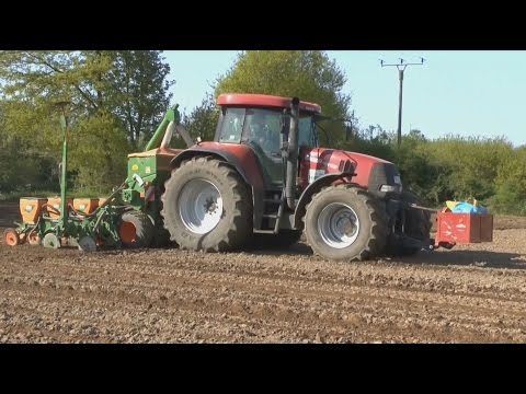 Maïszaaien Case-IH CVX 195 Amazone ED 602 K Terhuf Trekkerweb